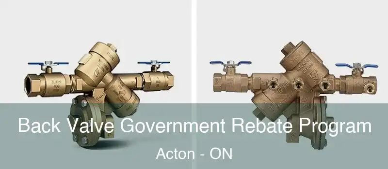  Back Valve Government Rebate Program Acton - ON
