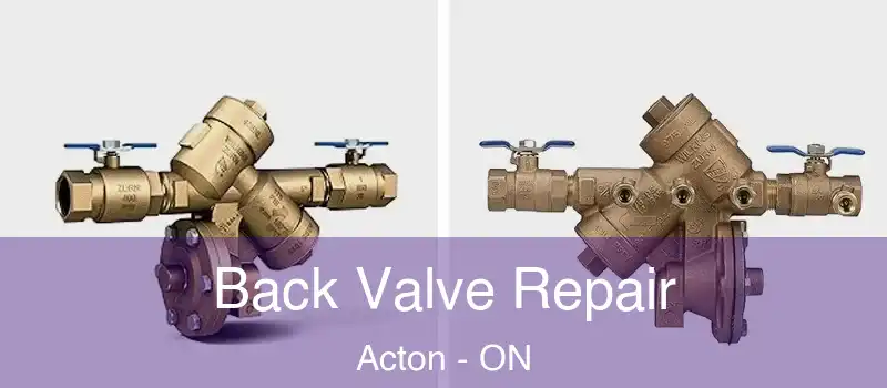  Back Valve Repair Acton - ON