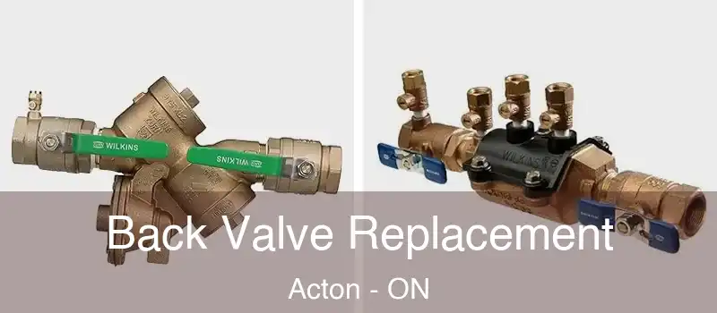  Back Valve Replacement Acton - ON
