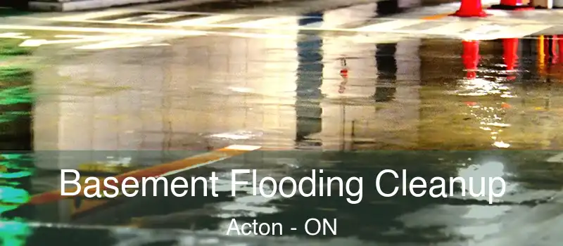  Basement Flooding Cleanup Acton - ON