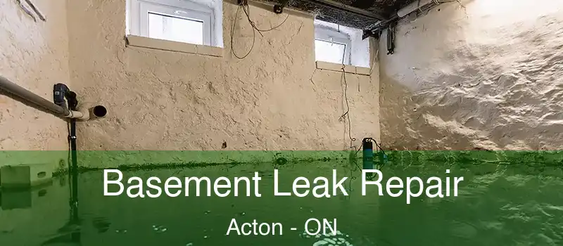  Basement Leak Repair Acton - ON