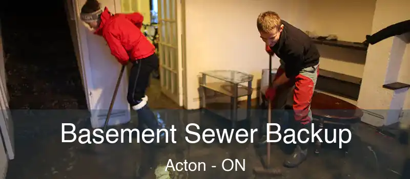  Basement Sewer Backup Acton - ON