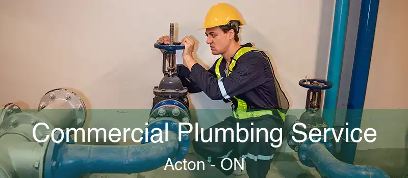  Commercial Plumbing Service Acton - ON