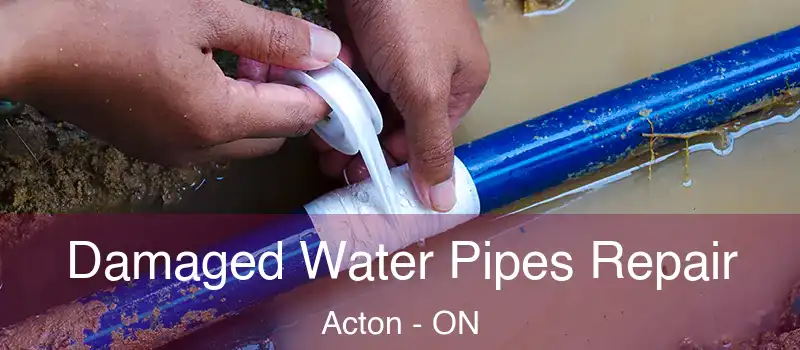  Damaged Water Pipes Repair Acton - ON