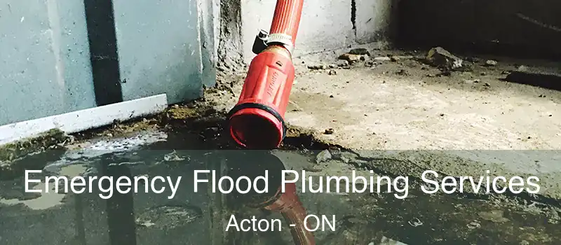  Emergency Flood Plumbing Services Acton - ON
