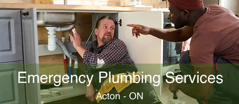  Emergency Plumbing Services Acton - ON