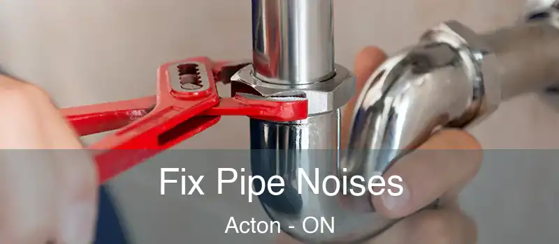  Fix Pipe Noises Acton - ON