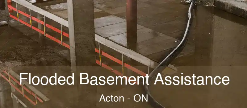  Flooded Basement Assistance Acton - ON