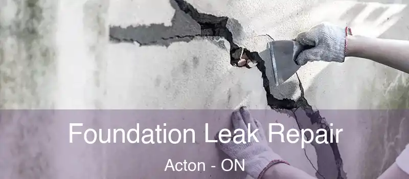  Foundation Leak Repair Acton - ON