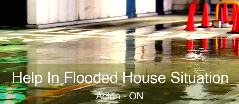  Help In Flooded House Situation Acton - ON