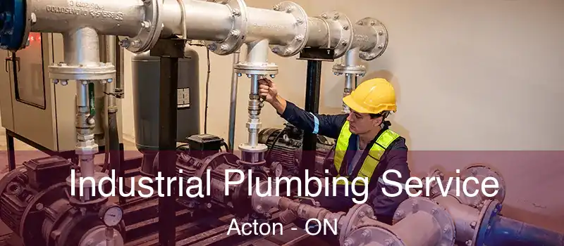  Industrial Plumbing Service Acton - ON