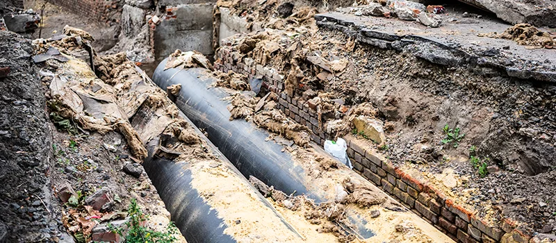 Commercial Sewer Tree Roots Damage Solutions in Acton, ON