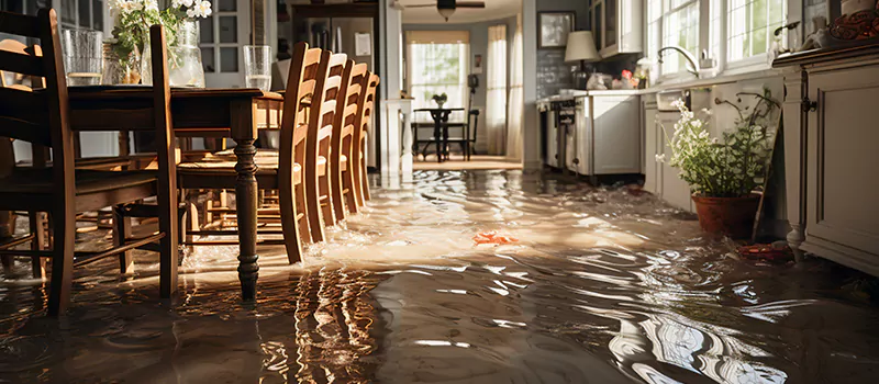 Flooded House Help Near Me in Acton, Ontario