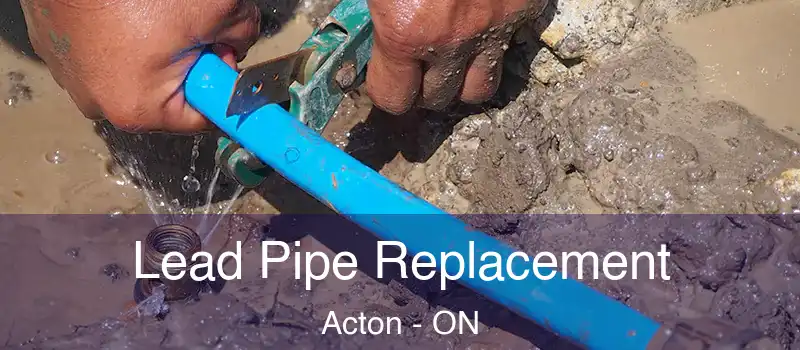  Lead Pipe Replacement Acton - ON
