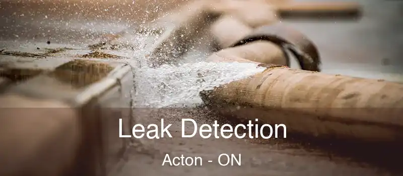  Leak Detection Acton - ON
