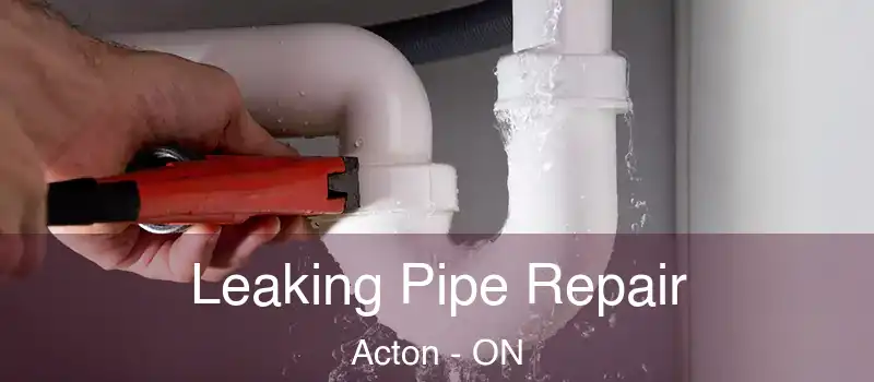 Leaking Pipe Repair Acton - ON
