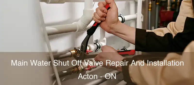  Main Water Shut Off Valve Repair And Installation Acton - ON