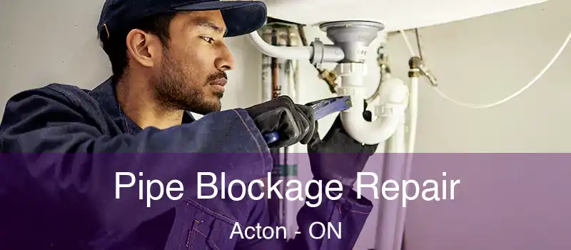  Pipe Blockage Repair Acton - ON