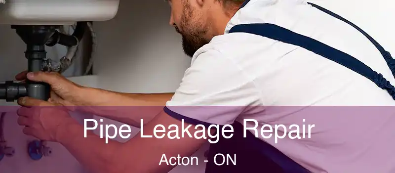 Pipe Leakage Repair Acton - ON
