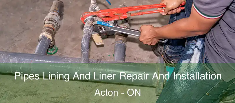  Pipes Lining And Liner Repair And Installation Acton - ON