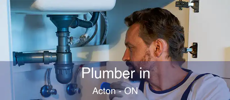 Plumber in Acton - ON