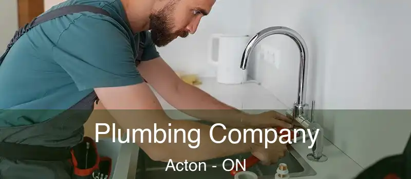  Plumbing Company Acton - ON