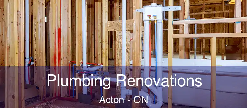  Plumbing Renovations Acton - ON