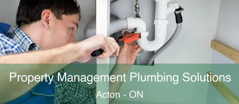  Property Management Plumbing Solutions Acton - ON
