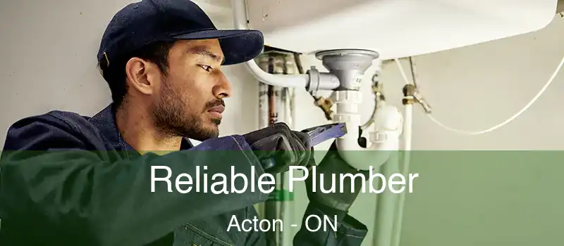  Reliable Plumber Acton - ON