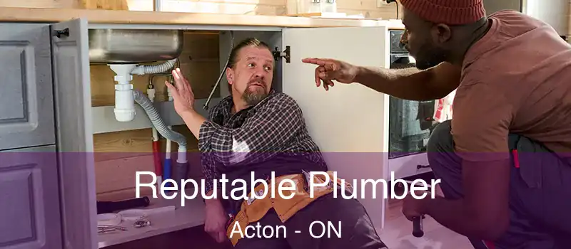  Reputable Plumber Acton - ON