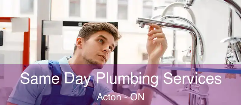  Same Day Plumbing Services Acton - ON
