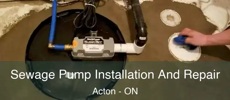  Sewage Pump Installation And Repair Acton - ON
