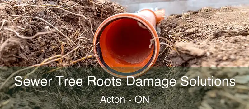  Sewer Tree Roots Damage Solutions Acton - ON