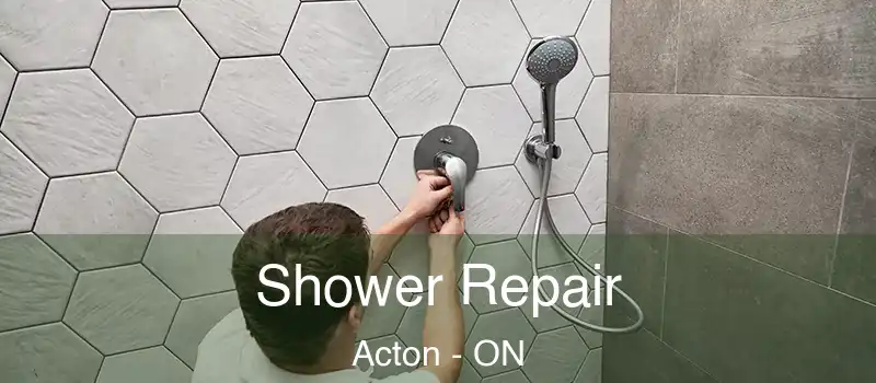  Shower Repair Acton - ON