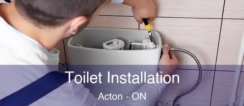 Toilet Installation Acton - ON