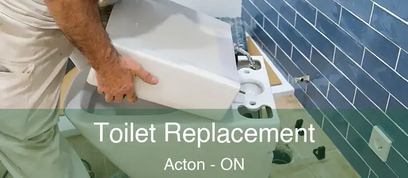  Toilet Replacement Acton - ON
