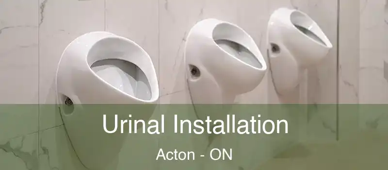  Urinal Installation Acton - ON