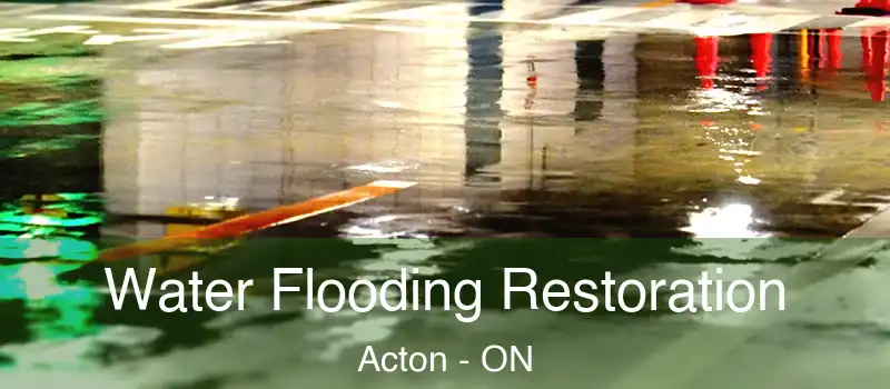  Water Flooding Restoration Acton - ON