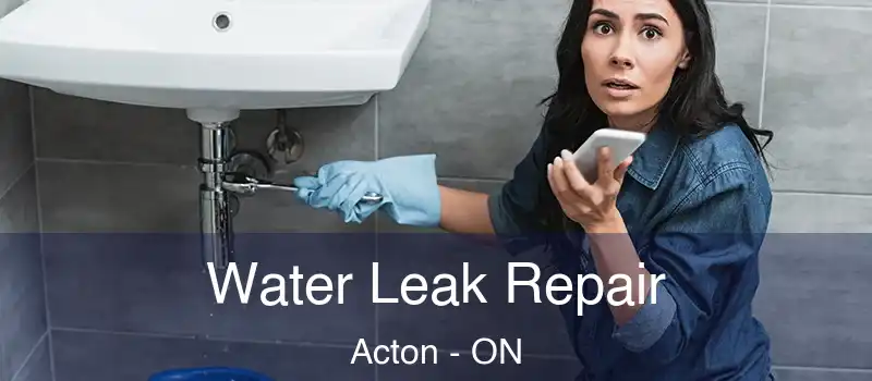  Water Leak Repair Acton - ON