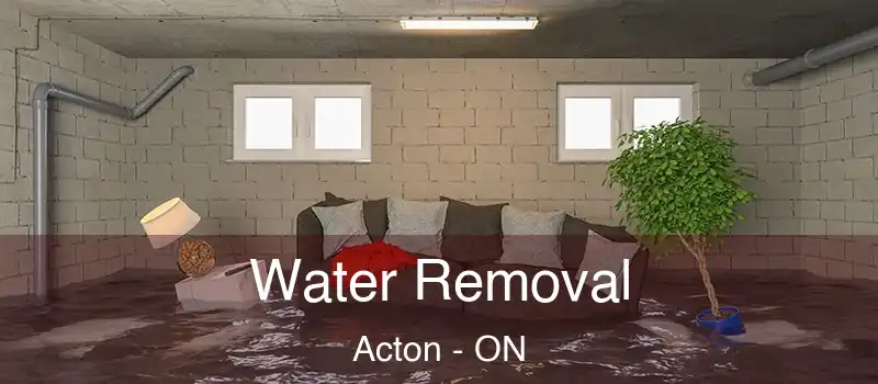  Water Removal Acton - ON
