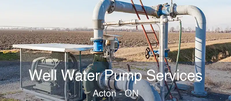  Well Water Pump Services Acton - ON